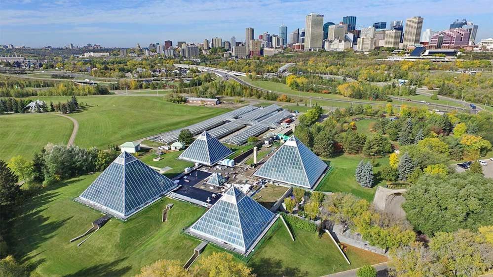 Bright Modern Home - King Bed - Free Parking - Fireplace - Fast Wi-Fi - Free Netflix Edmonton Exterior foto